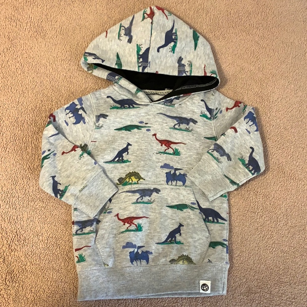 Free Planet gray dinosaur hoodie size 3T